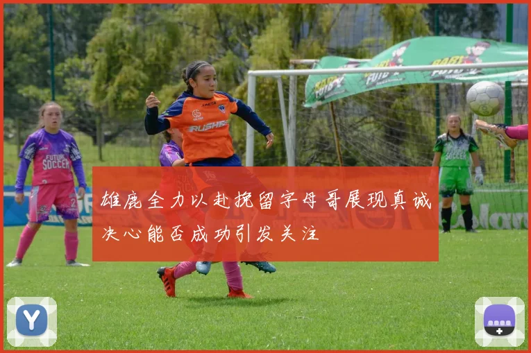 雄鹿全力以赴挽留字母哥展现真诚决心能否成功引发关注