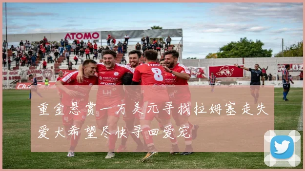 重金悬赏一万美元寻找拉姆塞走失爱犬希望尽快寻回爱宠