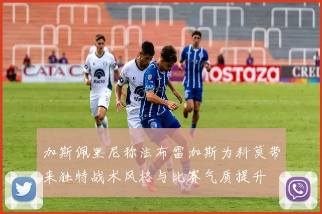 加斯佩里尼称法布雷加斯为科莫带来独特战术风格与比赛气质提升